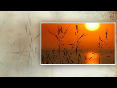 Duet Djuric   Runjajic   Golubice bela, sto si