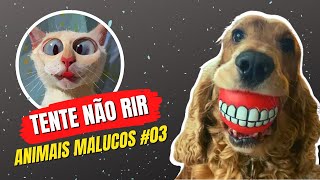 Tente No RIR #03 - Animais Malucos