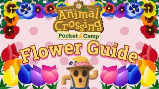 Animal Crossing Pocket Camp | Flower Guide 🌷