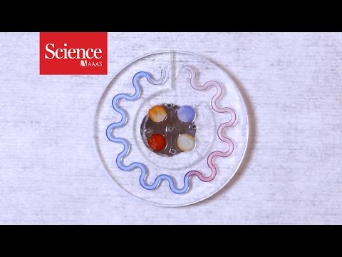 汗のセンサー (Sensors for your sweat)