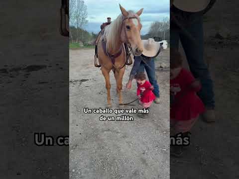 Nota cómo no lo hizo por ella… le mostró cómo hacerlo. #caballos #fypシ #horse