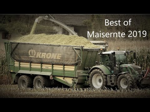Best of Maisernte 2019 mit Agrolohn