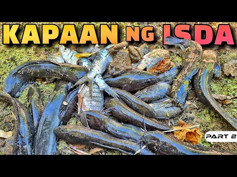 EP924-P2 - Kapaan Season Na Naman