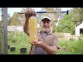 How To Make A Safe Homemade Insecticide Spray