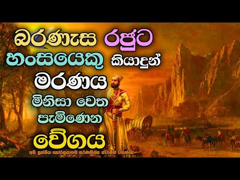 රජුට හංසයෙකු කියාදුන් මරණය පැමිණෙන වේගය | මරණසති දේශනාව 5 | About the speed of death.
