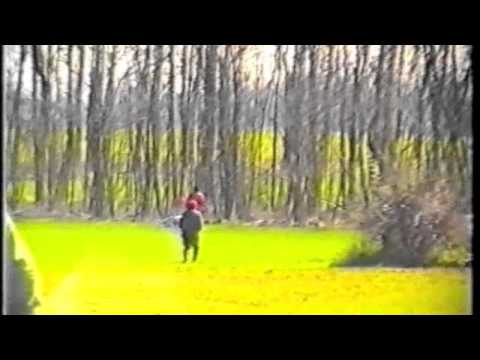 Derby Inglesi 1993 - Picasso del Binario