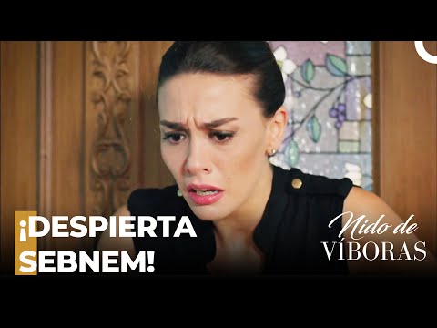 ¡Los Sentimientos De Sebnem Por Ejder! - Nido De Víboras