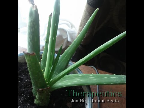 Jon Be Infinit Beats- Therapeutics (Full Album) | (Hip Hop / Rap / Soul / Alternative)