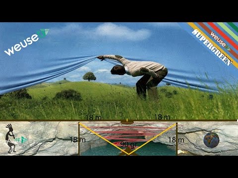 Mal di schiena seduto al computer Gamba dolorante dal retro dà