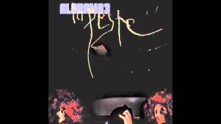 Alabama 3 - Hotel California {The Eagles}