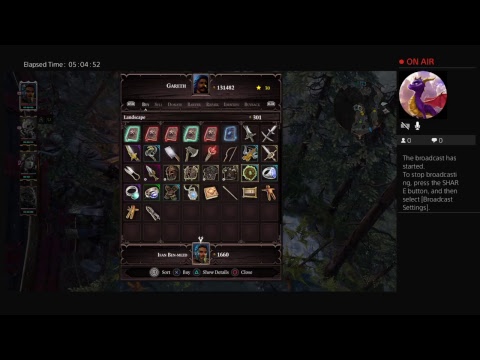 Divinity 2 os 4 player coop  walkthrough part 29