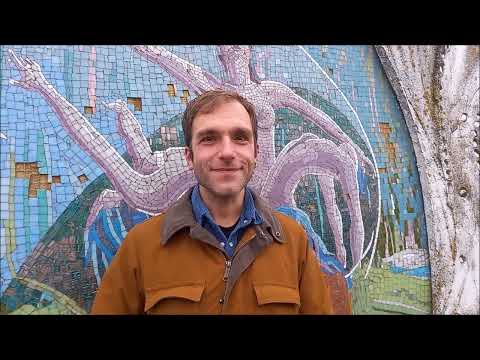 Marcolfe a Lavacchio