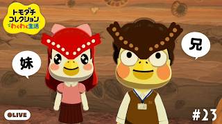 【生配信】#23｜秀才フクロウ兄妹が引っ越してきたよ🦉🦉【トモダチコレクションわくわく生活】