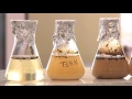 МУИС-ийн "Эрдмийн хэт" цуврал нэвтрүүлэг-21: Микробиологи