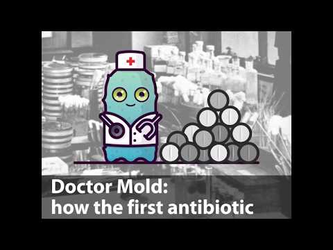 Life-saving mold how penicillinum was discovered