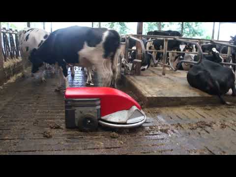 Lely Discovery S90