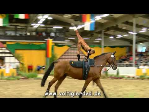 Nadine Langer - Damen 22 - DMV Verden 2017