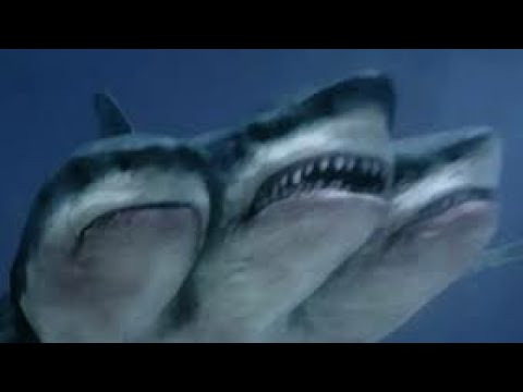 Three head shark movie clip. Hooror movie clip.
