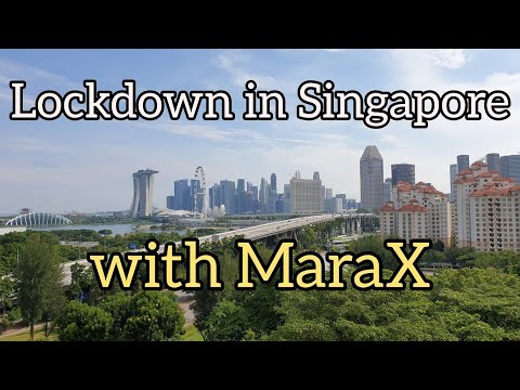 My New Normal Ritual with Lelit Marax (w/paddle) (PL62X)