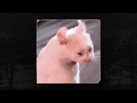 ADAM THE SHINOBI - BOYSWHOCRY (MEMPHIS 66.6 EXCLUSIVE)