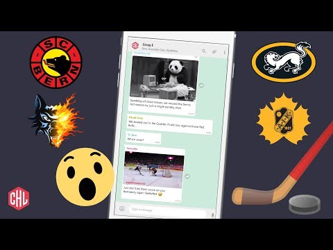 CHL WhatsApp Chat | Group E