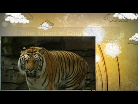 September 22nd Power Trading Hour with David White on TFNN   20161st