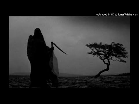 Prohibeo - Friendly Fire Prod. By Shhmody