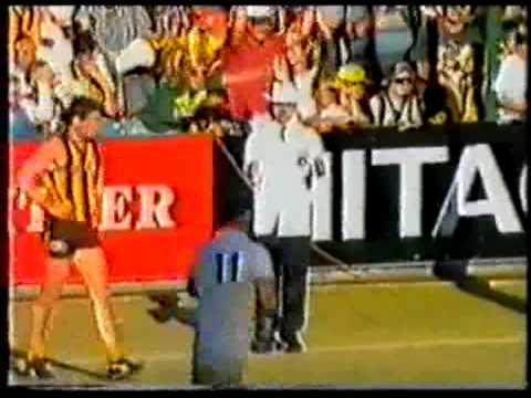 Brisbane Bears: The Comeback