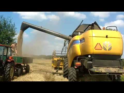 Żniwa 2018 u Kowala☆ NEW HOLLAND CX5080 ☆ URSUS C-360 ☆ CASE JX80 ㋡ Kowal
