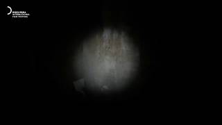 CineDOC-Tbilisi 2020 | Trailer | Linger on Some Pale Blue Dot by Alexandre Koberidze