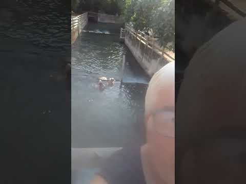 Esplanada em Caldas Novas Go