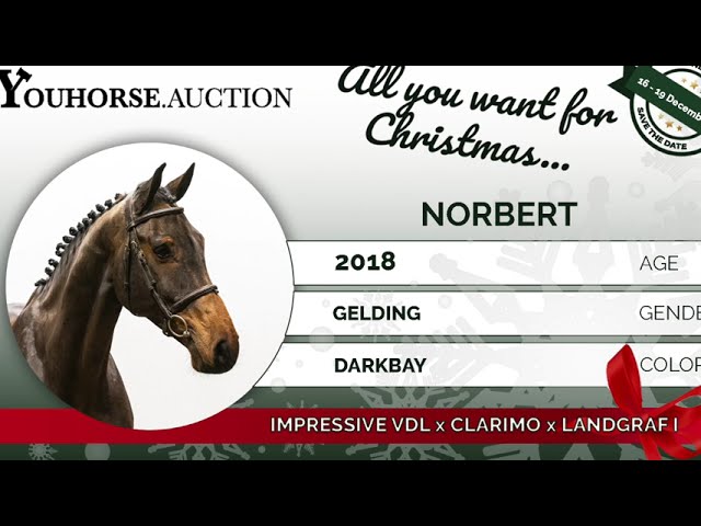 Norbert @ home