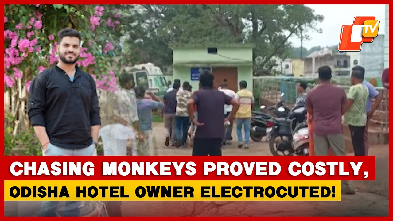ओडिशा में होटल मालिक की मौत, चिड़ियाघर से भागने के दौरान बिजली के तार से लगी चोट