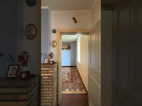 Vidéo