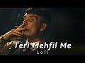 Kisi Din Ye Tamasha Mushkurake Ham Bhi Dekhenge Slowed Reverb