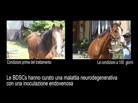 Ispezionare larticolazione della spalla Dolore articolare mani con un carico
