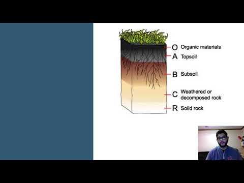 APES Topic 2.2, Ecosystem Services