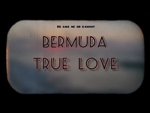 BERMUDA / True Love (Dina ft Mr_Slang)