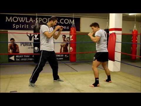 Combat Sport Master Reza Djabbarpoor Puria Gym 2017 Germany