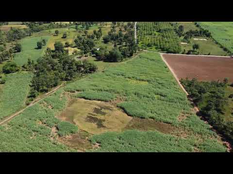 36 Rai Farmland for Sale Near Nong Bua Lam Phu | Thailand Lifestyle Land Nong Bua Lam Phu, Nong Bua Lam Phu, Hua Na, Muang Nong Bua Lam Phu, Nong Bua Lam Phu, , 59,188 sqm, Land For Sale, by วีรภัทรา ดาร์เปอร์, 500469021 - DDproperty.com