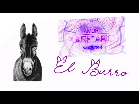 AMOR PLANETARIO | EL BURRO