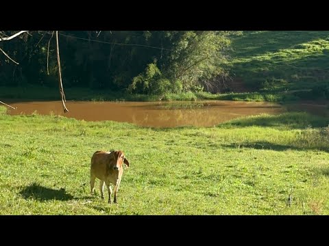 Sítio de 13 hectares em Senador José Bento MG