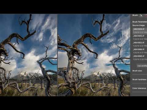 Focus Stacking Retouching