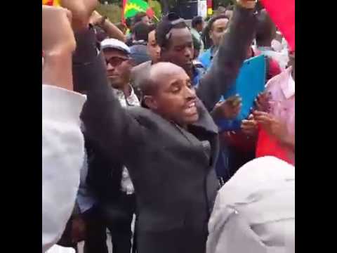 #Oromo protest lalaa mee Umar Suleeymaan fi Ilfinesh qannoo Oslo Norway August 20, 2016