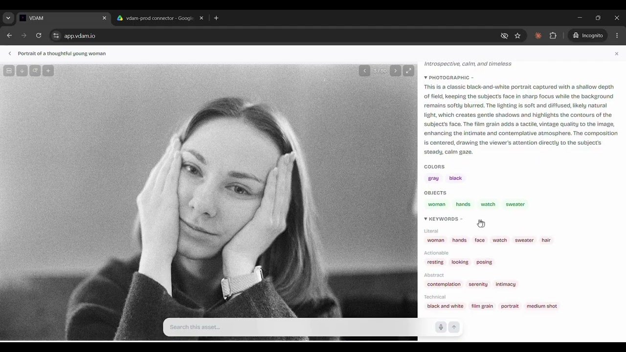 VDAM walkthrough thumbnail: One minute setup
