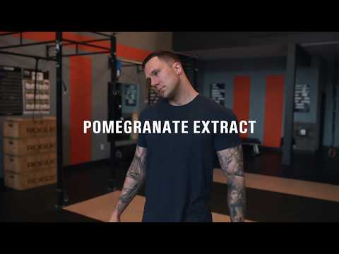 VANDAL V-Series: Pomegranate Extract