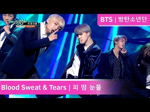 BTS - Blood Sweat & Tears | 방탄소년단 - 피 땀 눈물 [Music Bank / 2016.11.04]