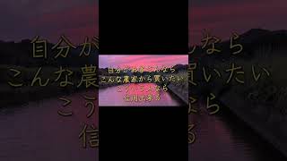 今年新規就農したコメ農家　美味しいお米を日本のお客さんに届けたい想いで継ぎました　