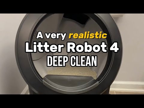 Deep Cleaning the Litter Robot 4 (very gross edition)