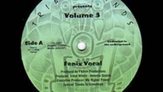 ANTONIO OCASIO-FENIX FANTASY[12'']